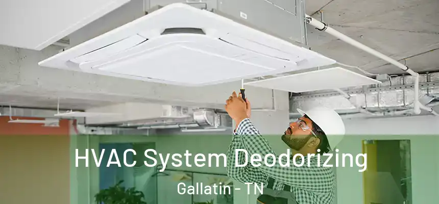  HVAC System Deodorizing Gallatin - TN