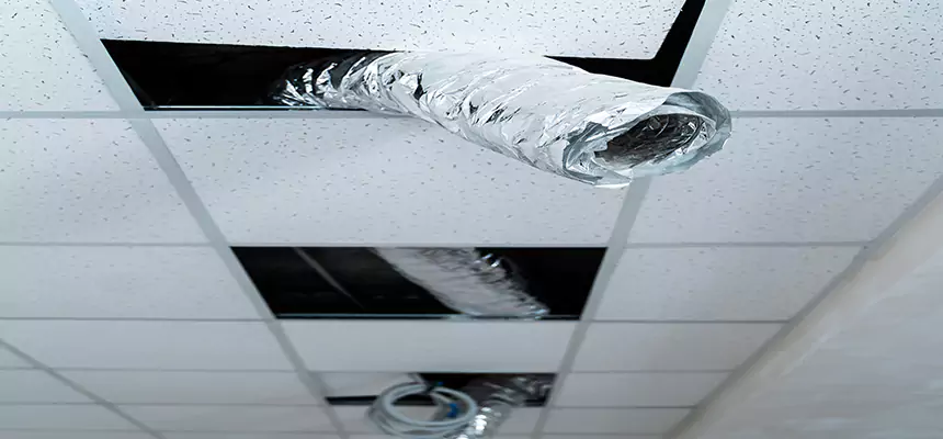 Affordable HVAC Sanitizing After Pest Removal in Gallatin