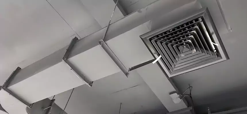 Restorative Allergy Relief Vent Cleaning – Coil, Blower & Housing Detail in Gallatin