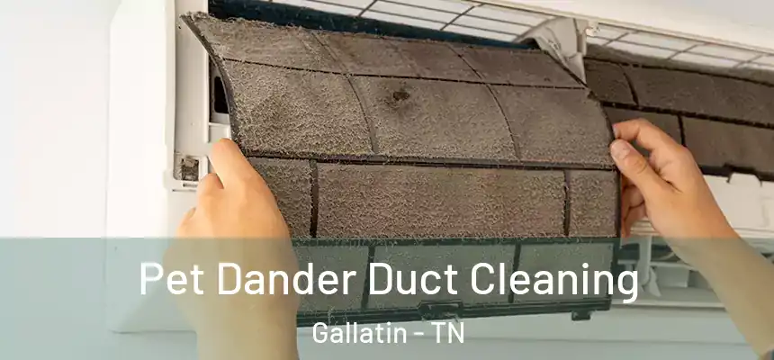  Pet Dander Duct Cleaning Gallatin - TN