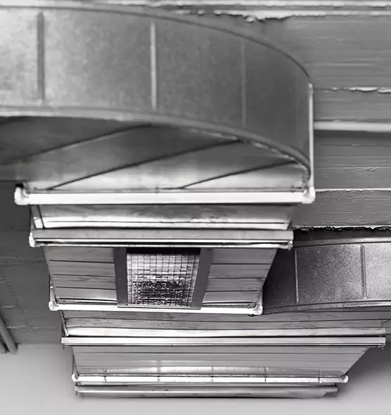 Professional Air Duct Pet Hair Removal in Gallatin, TN