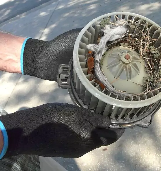 About Air Duct Rat Removal in Gallatin, TN